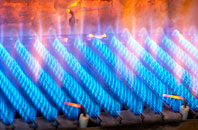 Burton Salmon gas fired boilers